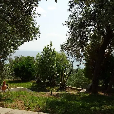 Elia- More Akti Salonikiou